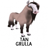 Tan Grulla