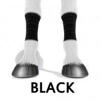 Black Socks