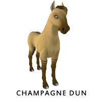 Champagne Dun