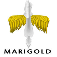 Marigold