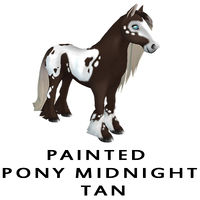 Painted Pony Midnight Tan