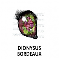 Dionysus Bordeaux