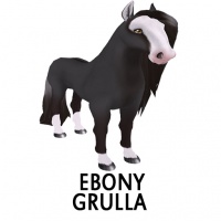 Ebony Grulla