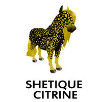 Shetique Citrine