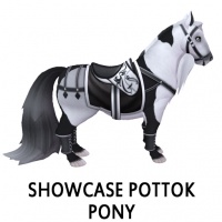 Showcase Pottok Pony