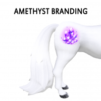 Amethyst Branding