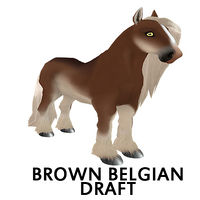 Brown Belgian Draft