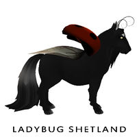 Charmed Ladybug Shetland