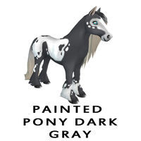 Painted Pony Dark Gray