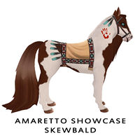 Amaretto Showcase Skewbald