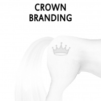 Crown Branding