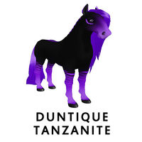 Duntique Tanzanite