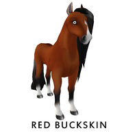 Red Buckskin