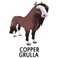 Copper Grulla