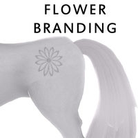 Flower Branding