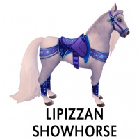 Lipizzan Showhorse