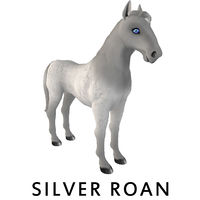 Silver Roan