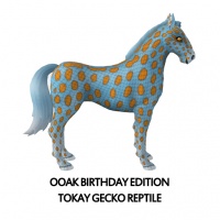 OOAK Birthday Edition - Tokay Gecko Reptile