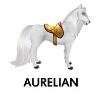 Aurelian Saddle