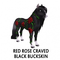 Red Rose Craved Black Buckskin