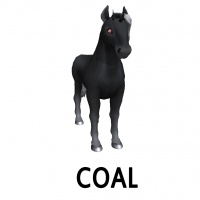 Coal