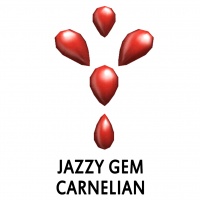 Jazzy Gem Carnelian