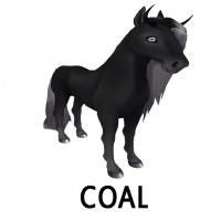 Coal