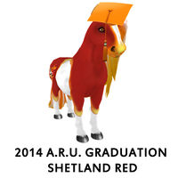 2014 A.R.U. Graduation Shetland Red