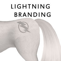 Lightning Branding