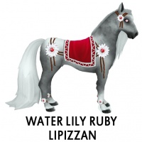 Water Lily Ruby Lipizzan