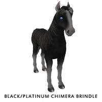 Black/Platinum Chimera Brindle