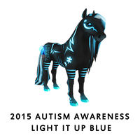 2015 Autism Awareness Light it up Blue