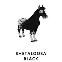 Shetaloosa Black