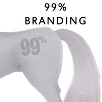 99% Branding