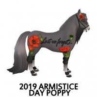 2019 Armistice Day - Poppy