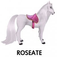 Roseate Saddle