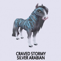 Craved Stormy Silver Arabian