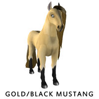 Gold/Black Mustang