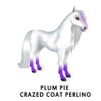 Plum Pie Crazed Coat Perlino