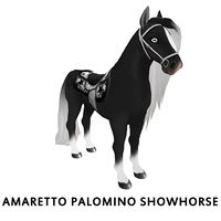 Amaretto Palomino Showhorse