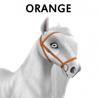 Orange Bridle