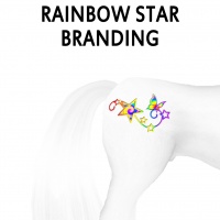 Rainbow Star Branding