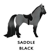 Saddle Black