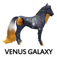 Galaxy Venus