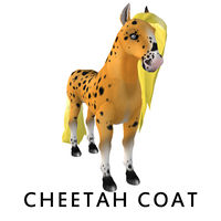 Amaretto Cheetah Coat – Appreciation