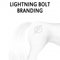 Lightning Bolt Branding