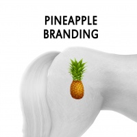 Pineapple Branding