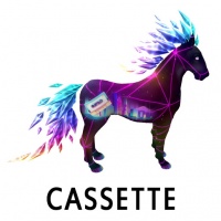 Cassette Mane and Tail