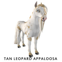 Amaretto Tan Leopard Appaloosa