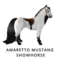 Amaretto Mustang Showhorse Side